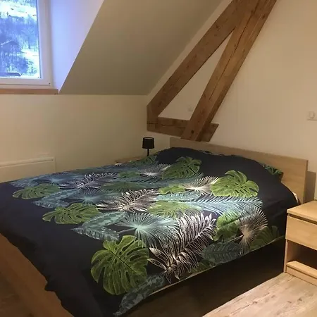 Des 2 Vallees,proche De Tous Commerces Apartment La Bresse